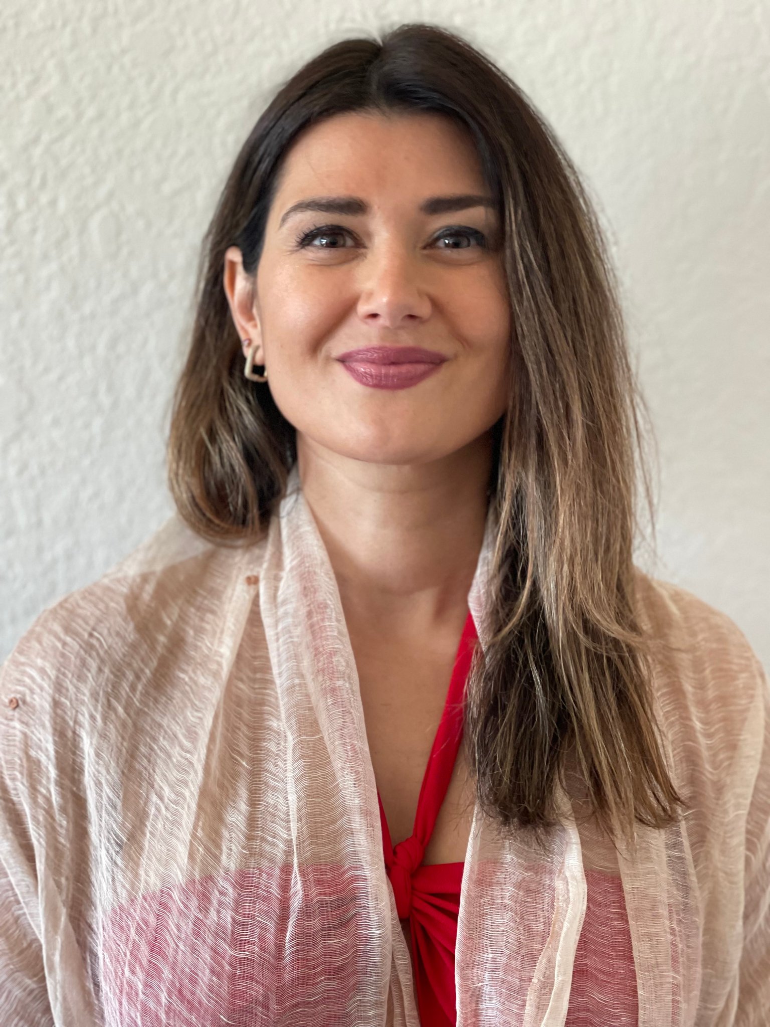 Dela Saatchi, MS, PAC, Healthcare Provider Advisor at VHealth Partners